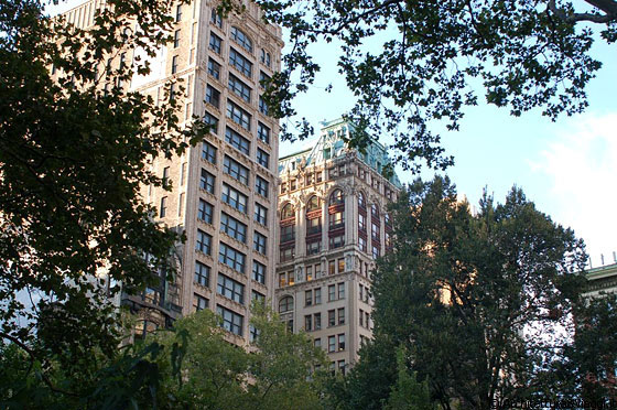 FLATIRON DISTRICT - Eleganti grattacieli si intravedono tra gli alberi di Madison Square Park