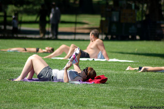 CENTRAL PARK  - Chi legge, chi prende il sole, chi semplicemente si rilassa sdraiato sul verde prato di The Great Lawn
