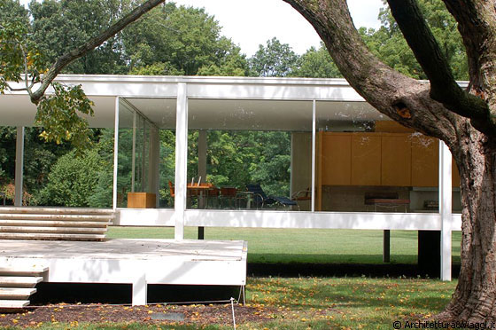 FARNSWORTH HOUSE - La casa isolata nel verde - una scatola di vetro che esclude ogni rapporto con le cose circostanti, fuorché con lo sfondo naturale del bosco che circonda l'abitazione