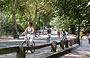 NEW YORK CITY. Con i suoi percorsi carrabili e pedonali e la sua estensione, Central Park è piacevolmente girabile in bicicletta