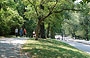 CENTRAL PARK SOUTH. La separazione tra percorsi pedonali e carrabili esalta la vivibilità e piacevolezza del parco