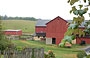 AMISH COUNTRY. Yoder's Amish Home: le stalle