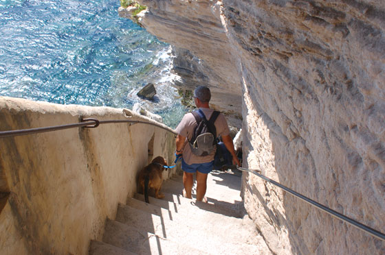 BONIFACIO - Escaliers du Roy d'Aragon - Francesco percorre la ripida scalinata con Mosè al guinzaglio