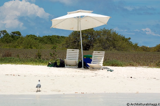 FRANCISQUISES - Il nostro ombrellone, davanti il mare, dietro le mangrovie e tutt'intorno un'oasi di pace