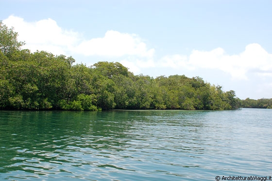 PARCO NAZIONALE MORROCOY - Le mangrovie ancora protagoniste del paesaggio marino del Venezuela