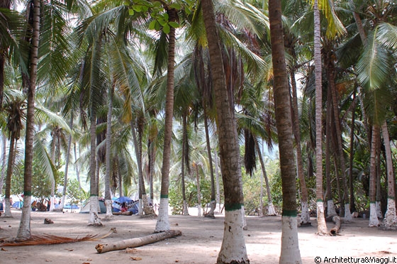 PLAYA GRANDE - Alte palme creano una meravigliosa e piacevole area ombrosa, ideale per issare una tenda