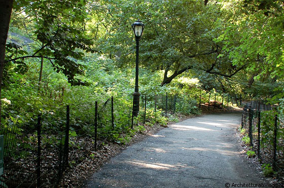 CENTRAL PARK - Un'oasi di pace e relax con zone poco frequentate