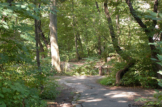 CENTRAL PARK - The Ramble, una lussureggiante area verde frequentata dagli appassionati di birdwatching, ubicata tra The Great Lawn e The Lake