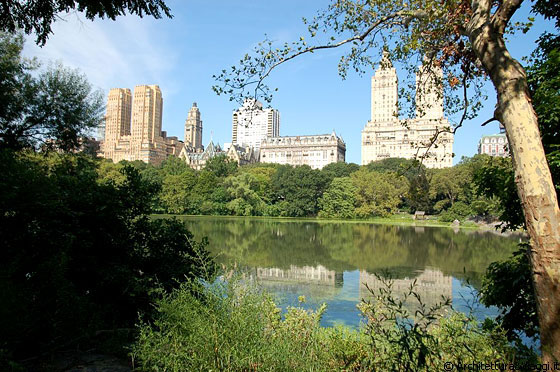 CENTRAL PARK - I cinque borough di New York City