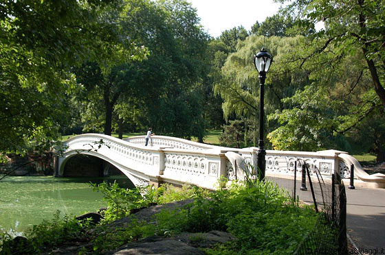 CENTRAL PARK - Bow Bridge, un elegante ponte sospeso in ghisa che corre circa 18 metri sopra il lago progettato da Vaux