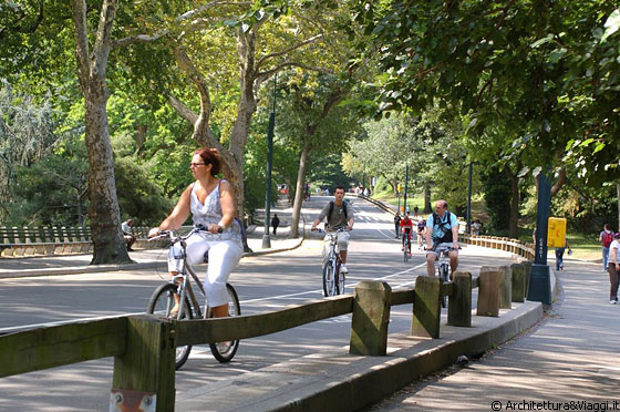 NEW YORK CITY - Con i suoi percorsi carrabili e pedonali e la sua estensione, Central Park è piacevolmente girabile in bicicletta