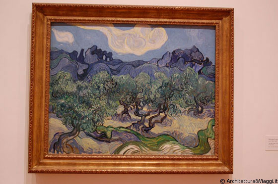 NYC - MoMA - The Olive Trees - Vincent van Gogh, 1889