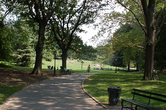 CENTRAL PARK - Piacevoli passeggiate nel parco tra zone d'ombra e prati soleggiati