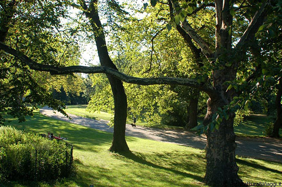 CENTRAL PARK - Non finiremmo mai di entusiasmarci per questo grande parco