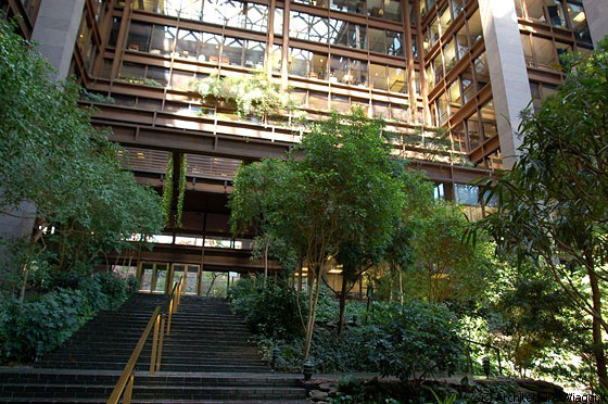 NEW YORK - Nella densità edilizia di Midtown la Fondazione Ford ha sperimentato l'edificio verde, con grande atrio a tutta altezza