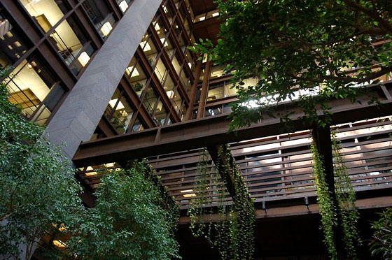 MANHATTAN - Guardando all'insù il grande giardino semi-tropicale ideato da Kevin Roche e John Dinkeloo della Ford Foundation