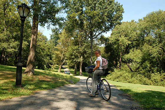 MANHATTAN - E' piacevole pedalare tra i percorsi nel verde a Central Park e questa giornata ce la godiamo proprio