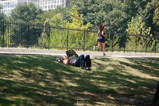 CENTRAL PARK  - Relax o footing? C'è solo da scegliere