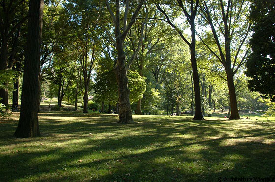 MANHATTAN - Pomeriggio a Central Park - i contrasti tra luce ed ombra