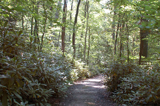 MILL RUN - Il parco di Casa Kaufmann