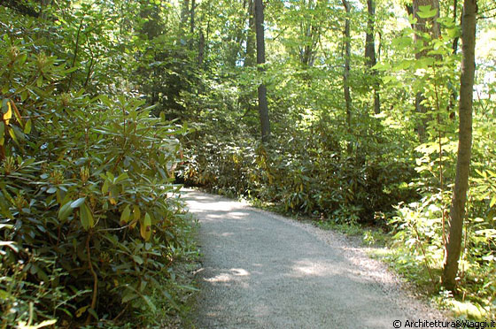 MILL RUN - PENNSYLVANIA - Il parco boscoso della Fallingwater 