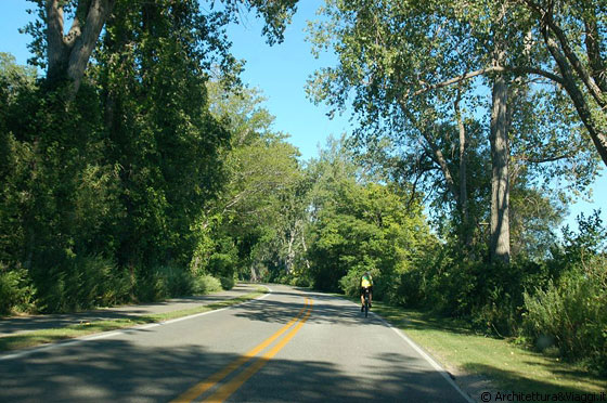 VERSO IL LAKE ERIE - Piacevole, verde e silenziosa questa strada che costeggia il lago, adatta per fare footing o per andare in bicicletta