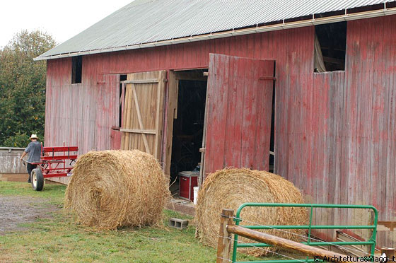 OHIO - Il paesaggio rurale e le fattorie delle campagne tra le contee di Wyane e Holmes