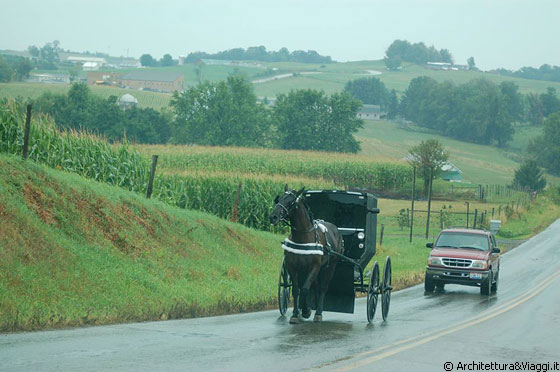 OHIO - Il carretto Amish condivide la strada con il traffico