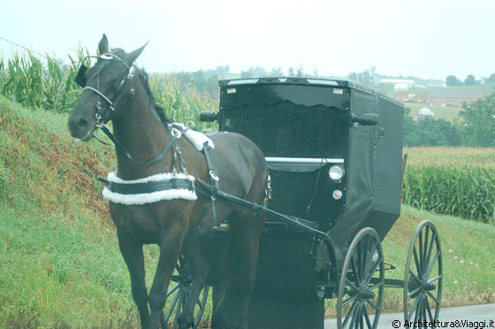 AMISH COUNTRY - Sta piovendo e gli amish viaggiano protetti all'interno della carrozza chiusa, è quasi impossibile vederli all'interno