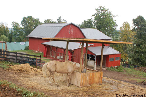 OHIO - L'ambiente bucolico di una fattoria amish