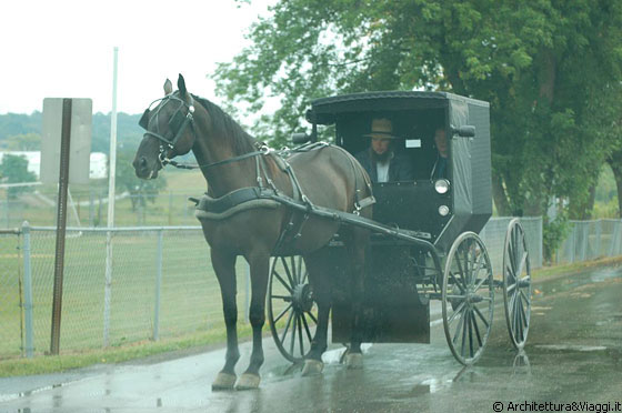 AMISH COUNTRY - Gli amish mettono in pratica un genere di impulso religioso tipicamente americano: respingono la società moderna e conducono un'esistenza tradizionale, rurale e anacronistica