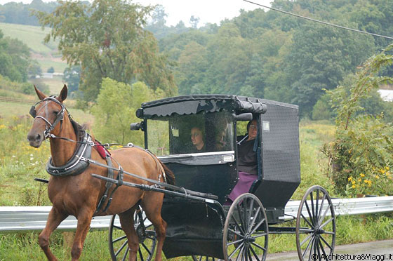 AMISH COUNTRY - Uffaaa, con questa pioggirellina è difficile avvistare gli amish perchè sono riparati all'interno delle loro carrozze