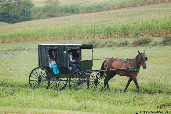 AMISH COUNTRY - I campi dell'azienda agricola Yoder's