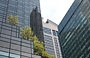 NEW YORK - FIFTH AVENUE. Trump Tower e sullo sfondo il frontone neogeorgiano dell'AT&T Building