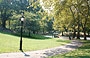 NEW YORK. Ogni mattina dopo la corsa tornavamo a piedi in Central Park per esplorare il parco che tutti noi vorremmo avere sotto casa