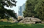 CENTRAL PARK. Rocce, alberi, prati e sullo sfondo l'inconfondibile struttura metallica a triangoli isosceli della Hearst Tower