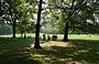 CENTRAL PARK SOUTH. Un pò di refrigerio all'ombra degli alberi dietro Sheep Meadow