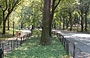 MANHATTAN. Le più importanti innovazioni nel progetto per Central Park furono le vie di circolazione separate per pedoni, cavalli e carrozze