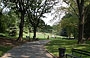 CENTRAL PARK. Piacevoli passeggiate nel parco tra zone d'ombra e prati soleggiati