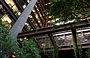 MANHATTAN. Guardando all'insù il grande giardino semi-tropicale ideato da Kevin Roche e John Dinkeloo della Ford Foundation