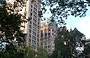 FLATIRON DISTRICT. Eleganti grattacieli si intravedono tra gli alberi di Madison Square Park