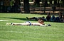 MANHATTAN. Abbronzatura e relax a Central Park
