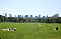 CENTRAL PARK. Il polmone verde di New York immenso e stupendo al punto da far sfigurare persino i parchi londinesi 