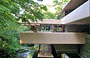 FALLINGWATER. Gli abitanti di casa Kaufmann sono in relazione stretta con la gola della montagna, l'acqua del torrente, gli alberi, il fogliame e i fiori