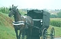 AMISH COUNTRY. Sta piovendo e gli amish viaggiano protetti all'interno della carrozza chiusa, è quasi impossibile vederli all'interno