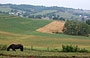 AMISH COUNTRY. La verde vallata che si può ammirare dal Bed and Breakfast <em>Holmes with a view</em>