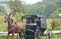 AMISH COUNTRY. Uffaaa, con questa pioggirellina è difficile avvistare gli amish perchè sono riparati all'interno delle loro carrozze