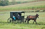 AMISH COUNTRY. I campi dell'azienda agricola Yoder's