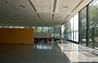 CHICAGO - IIT. La ricerca di chiarezza costruttiva teorizzata da Mies è evidente nella Crown hall così come nella casa Farnsworth