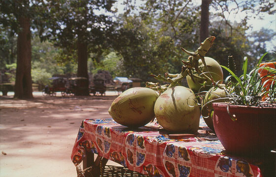 ANGKOR - Nei pressi del Bayon
